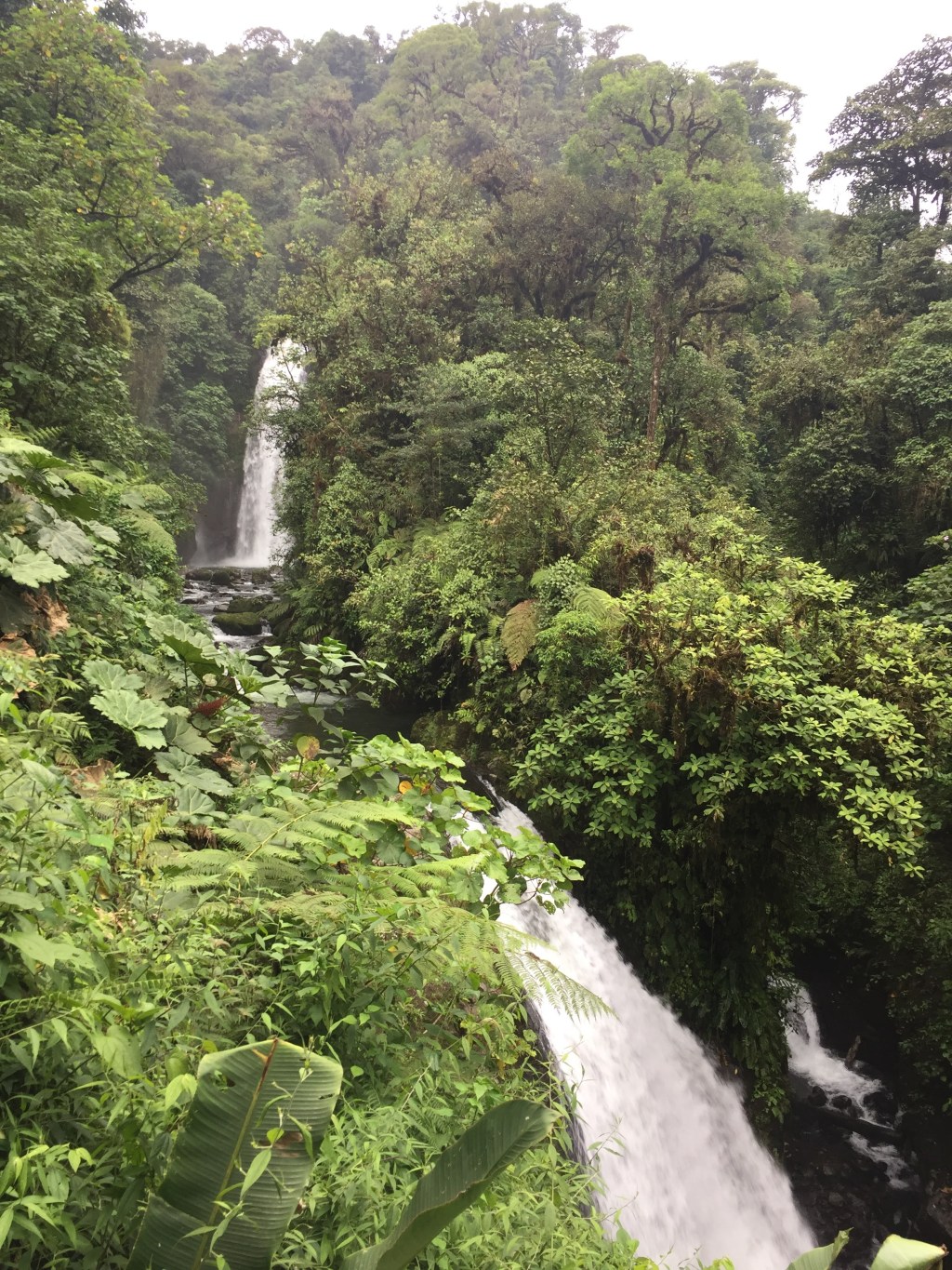 The Start to a Pura Vida&nbsp;Life