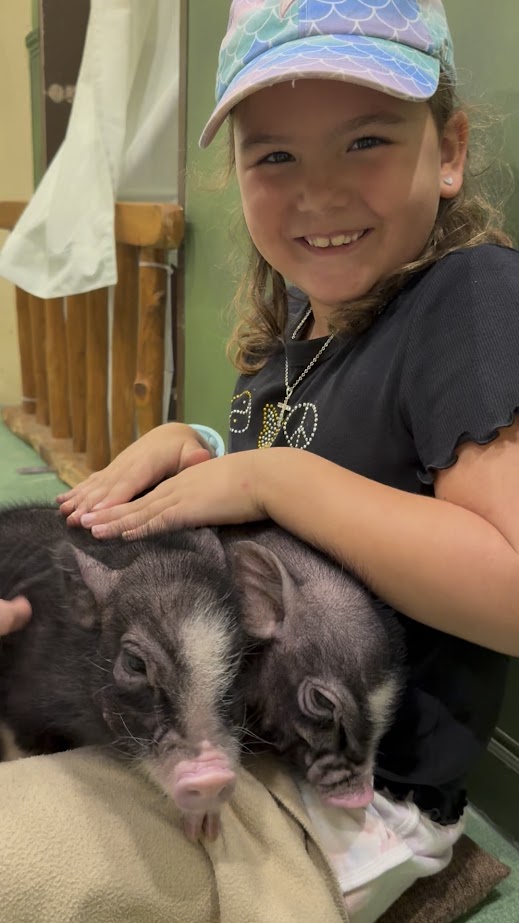 Oldest in Mipig Cafe