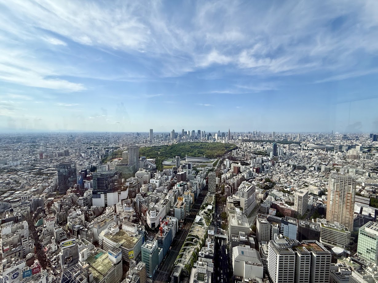 View from Shibuya Sky